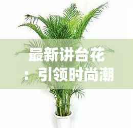 最新讲台花:引领时尚潮流的绿植选择