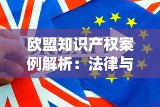 欧盟知识产权案例解析:法律与实践的碰撞