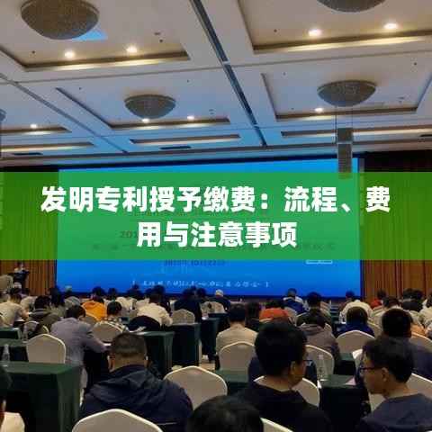 发明专利授予缴费:流程、费用与注意事项