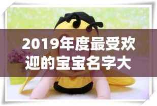 2019年度最受欢迎的宝宝名字大盘点