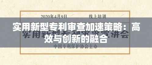 实用新型专利审查加速策略:高效与创新的融合