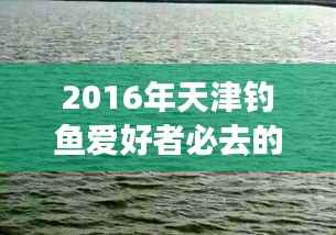 2016年天津钓鱼爱好者必去的钓鱼地点推荐