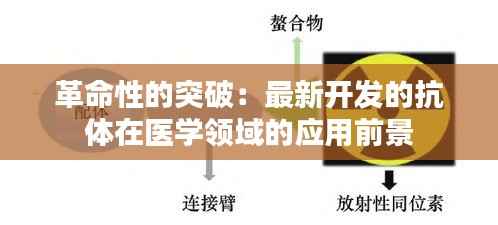 革命性的突破:最新开发的抗体在医学领域的应用前景