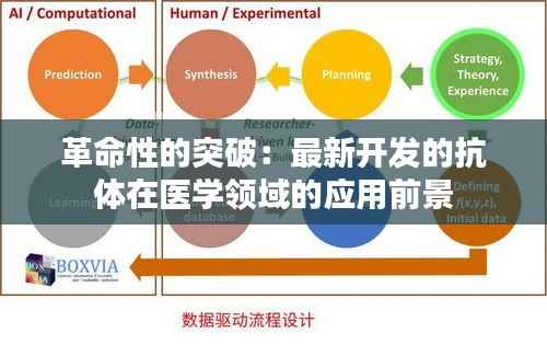 革命性的突破:最新开发的抗体在医学领域的应用前景