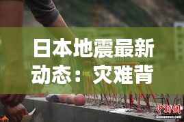 日本地震最新动态:灾难背后的坚韧与希望
