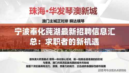 宁波奉化莼湖最新招聘信息汇总:求职者的新机遇