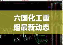 六国化工重组最新动态:产业布局优化,未来发展可期