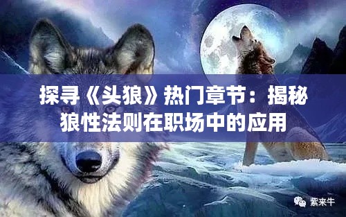 探寻《头狼》热门章节:揭秘狼性法则在职场中的应用