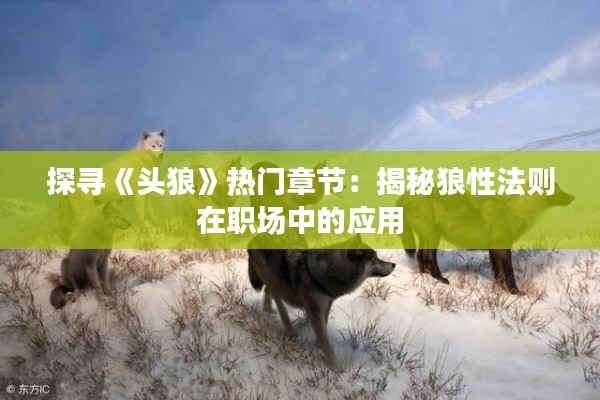探寻《头狼》热门章节:揭秘狼性法则在职场中的应用