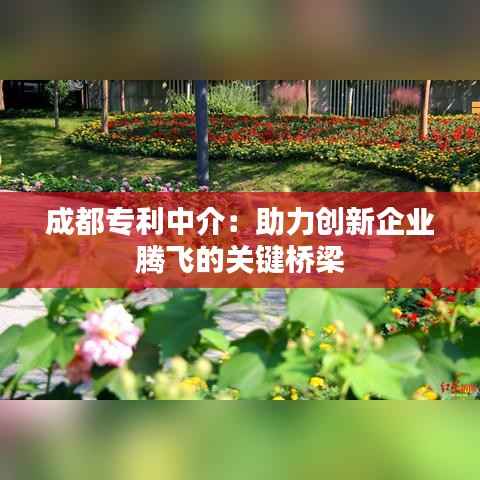 成都专利中介:助力创新企业腾飞的关键桥梁
