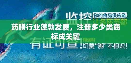 药膳行业蓬勃发展,注册多少类商标成关键