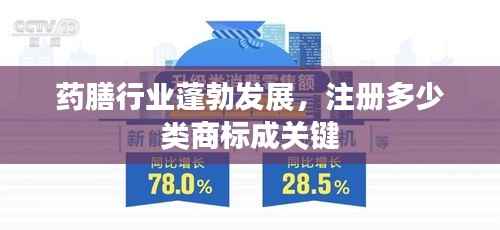 药膳行业蓬勃发展,注册多少类商标成关键