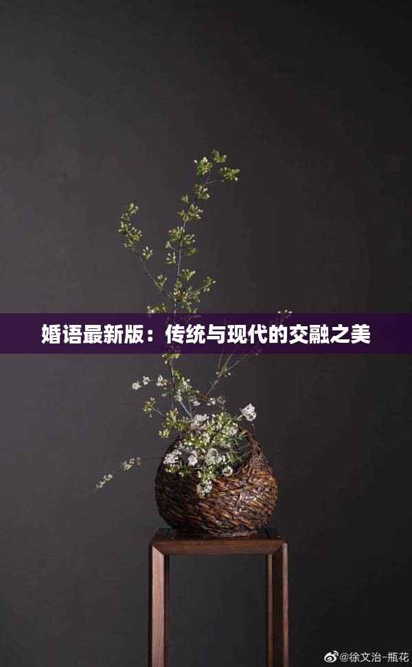 婚语最新版:传统与现代的交融之美