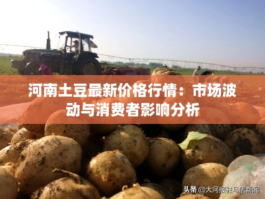 河南土豆最新价格行情:市场波动与消费者影响分析