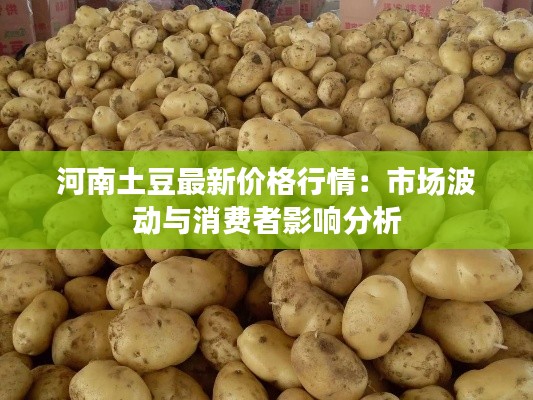 河南土豆最新价格行情:市场波动与消费者影响分析