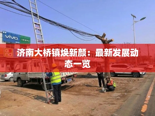 济南大桥镇焕新颜:最新发展动态一览