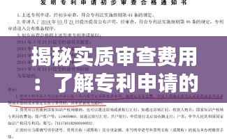 揭秘实质审查费用:了解专利申请的隐形成本