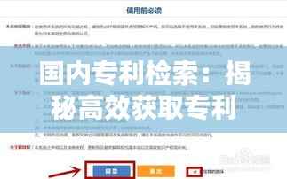 国内专利检索:揭秘高效获取专利信息的秘密武器