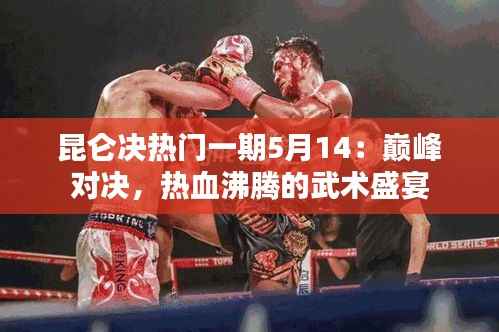 昆仑决热门一期5月14:巅峰对决,热血沸腾的武术盛宴