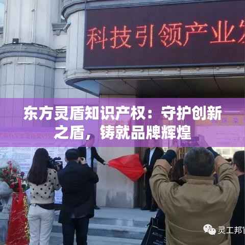 东方灵盾知识产权:守护创新之盾,铸就品牌辉煌
