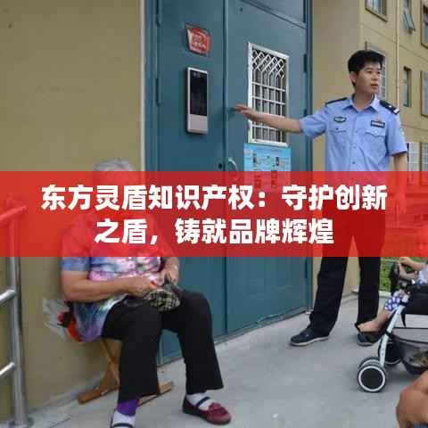 东方灵盾知识产权:守护创新之盾,铸就品牌辉煌