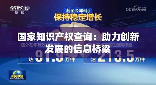 国家知识产权查询:助力创新发展的信息桥梁