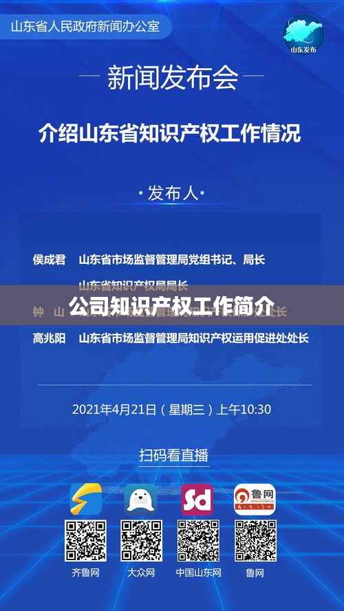 公司知识产权工作简介