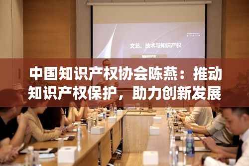 中国知识产权协会陈燕:推动知识产权保护,助力创新发展