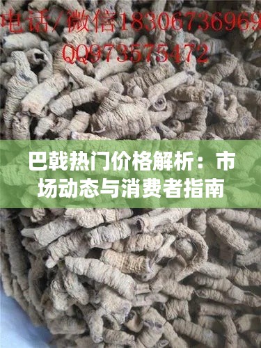 巴戟热门价格解析:市场动态与消费者指南
