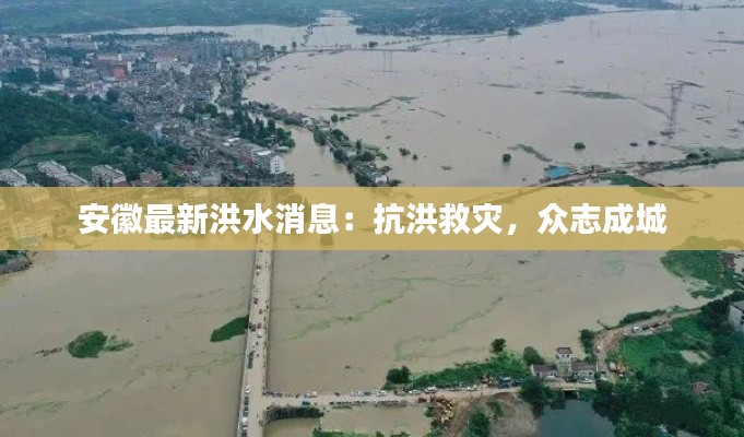 安徽最新洪水消息:抗洪救灾,众志成城