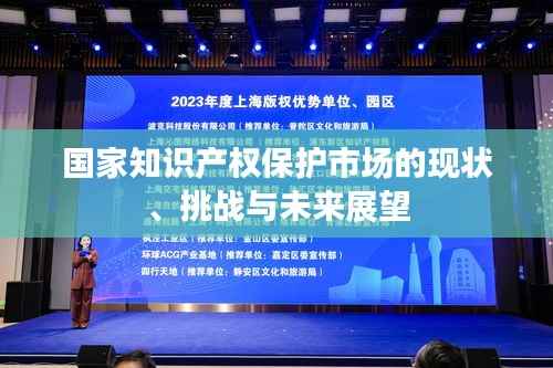 国家知识产权保护市场的现状、挑战与未来展望