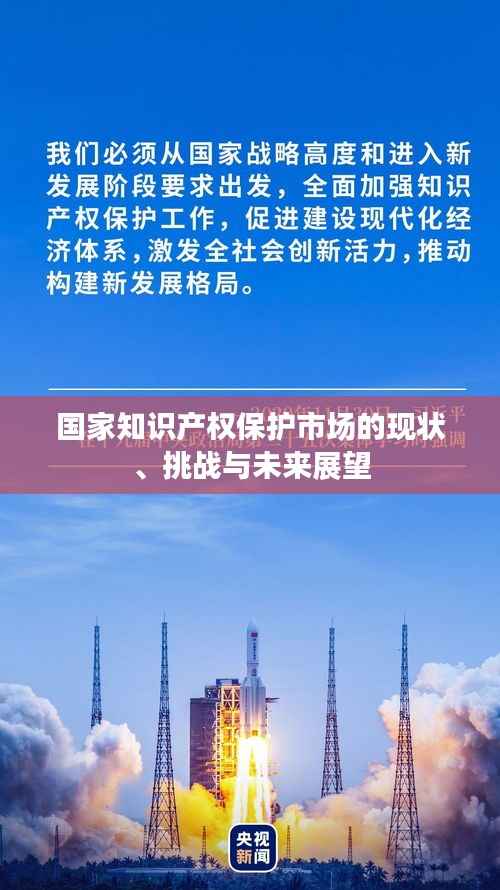 国家知识产权保护市场的现状、挑战与未来展望