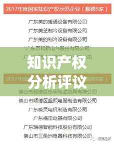 知识产权分析评议:揭秘企业创新发展的秘密武器