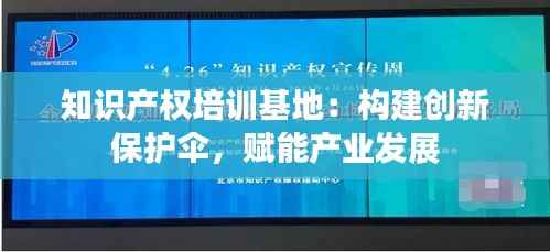 知识产权培训基地:构建创新保护伞,赋能产业发展