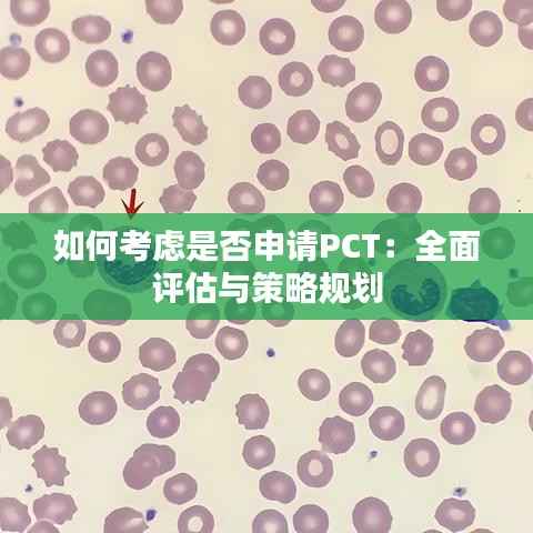 如何考虑是否申请PCT:全面评估与策略规划