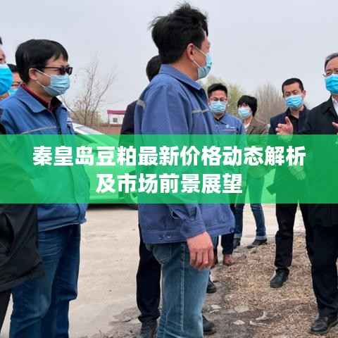秦皇岛豆粕最新价格动态解析及市场前景展望