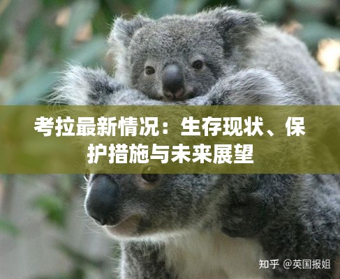 考拉最新情况:生存现状、保护措施与未来展望