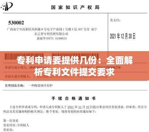 专利申请要提供几份:全面解析专利文件提交要求