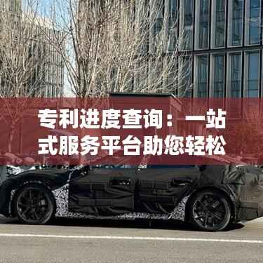 专利进度查询:一站式服务平台助您轻松掌握动态
