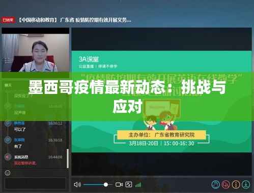 墨西哥疫情最新动态:挑战与应对