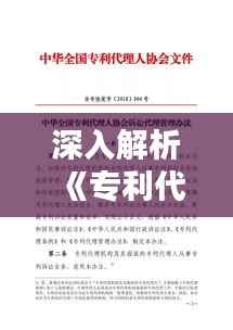 深入解析《专利代理条例细则》:规范与创新的桥梁