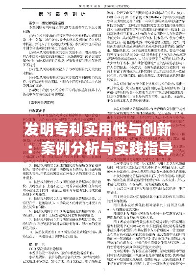 发明专利实用性与创新:案例分析与实践指导
