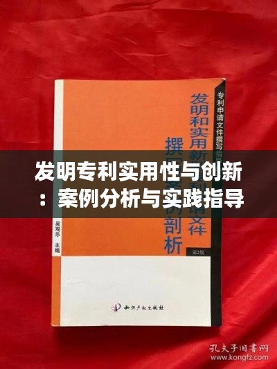 发明专利实用性与创新:案例分析与实践指导