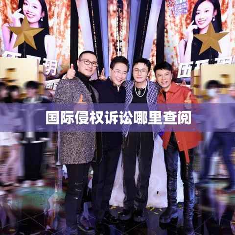 国际侵权诉讼哪里查阅