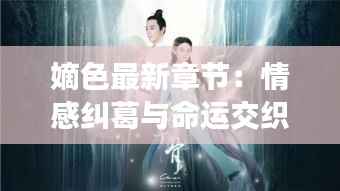 2024年12月 第78页