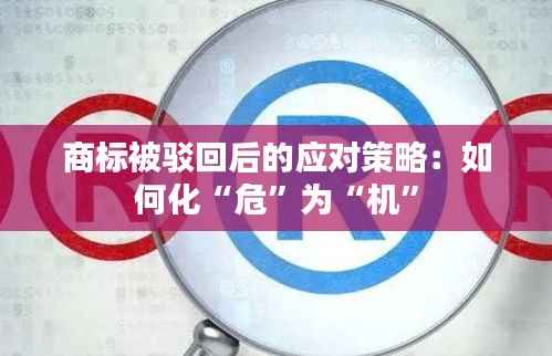 商标被驳回后的应对策略:如何化“危”为“机”