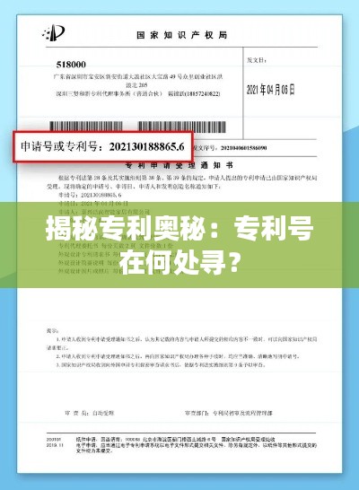 揭秘专利奥秘:专利号在何处寻?