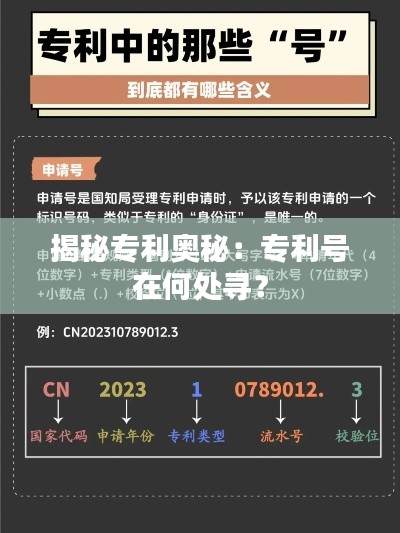 揭秘专利奥秘:专利号在何处寻?