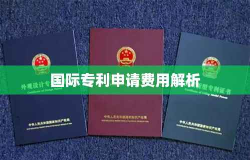 国际专利申请费用解析