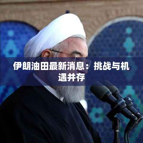 伊朗油田最新消息:挑战与机遇并存